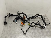 Maserati 670007814 GHIBLI (M157) 2015 Harness for interior