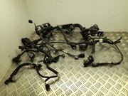 Toyota 0219-3W / 02193W COROLLA ( E210) Sedan 2022 Engine harness