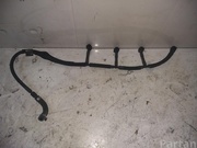 Volvo 31321198 XC60 2010 Fuel Distribution/ Rail