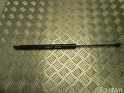 Renault 904500004R SCÉNIC III (JZ0/1_) 2014 Gas Spring