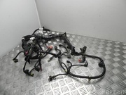 Jeep 55264991 RENEGADE Closed Off-Road Vehicle (BU) 2016 Engine harness