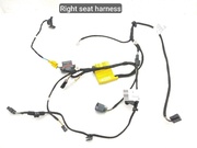 Porsche 991.622.787, 981.622.782 / 991622787, 981622782 CAYMAN (981) 2014 Harness for interior