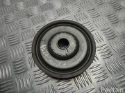 Renault E111126A SCÉNIC III (JZ0/1_) 2015 Guide Pulley