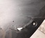 Tesla 1084174-00-D / 108417400D MODEL 3 2019 Engine under tray - Thumbnail 4