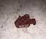 Volvo 30737138 S80 I (TS, XY) 2002 Actuator for impact sound - Thumbnail 5