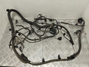 Aston Martin KY53-7C078-AA, KY537C078AA / KY537C078AA, KY537C078AA DB11 (AM5) 2019 Harness