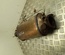 Land Rover AH22-5H240-AC / AH225H240AC DISCOVERY IV (L319) 2013 Catalytic Converter - Thumbnail 1