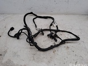 Citroën 9820429880 9805290280 / 98204298809805290280 C3 III (SX) 2020 Engine harness