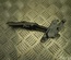 Mazda 9L 6 Station Wagon (GY) 2007 Hinge, bonnet - Thumbnail 1