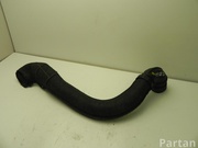 Renault 8200381079 CLIO III (BR0/1, CR0/1) 2009 Intake air duct