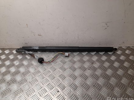 Tesla 6006610-00-B / 600661000B MODEL S 2015 Gas Spring